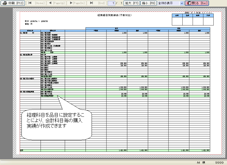 経費細目別実績表（予算対比）